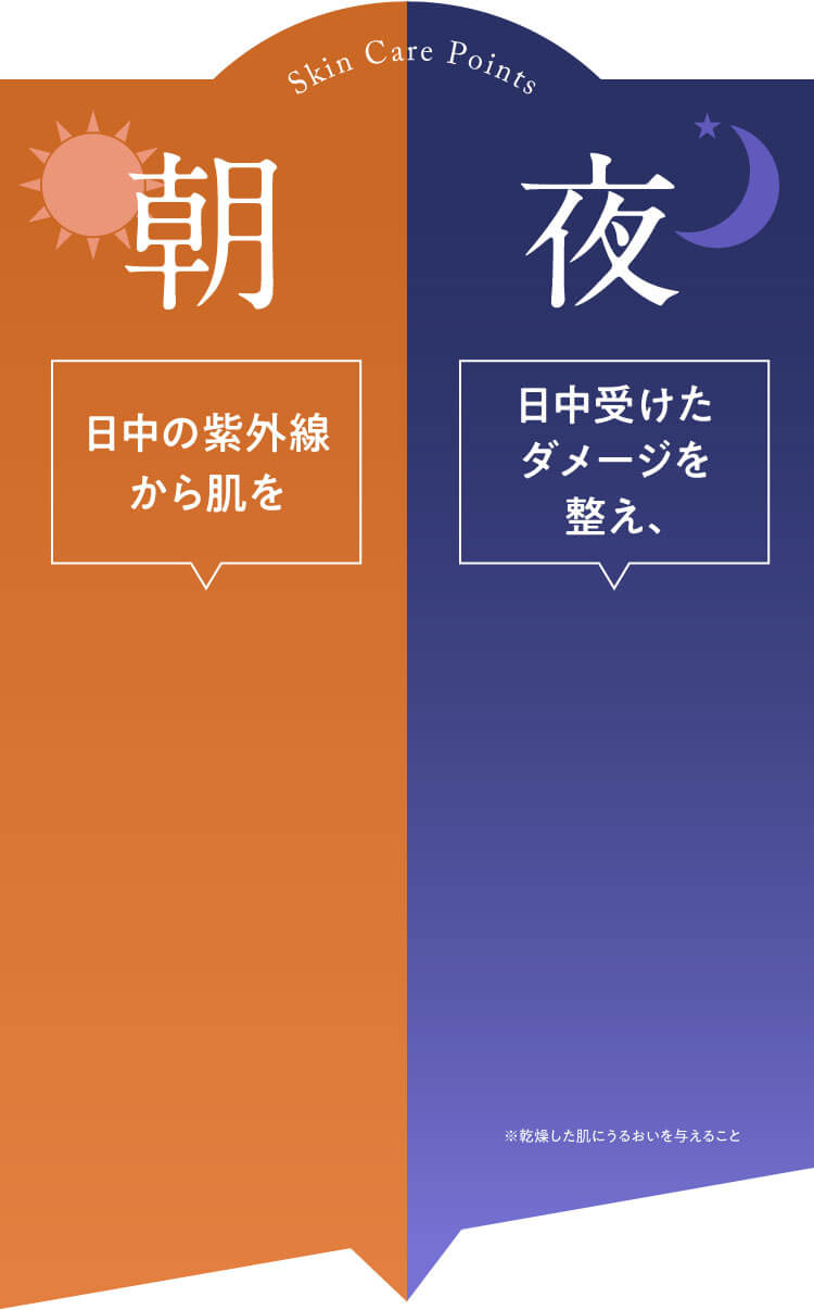 Skin Care Points ・朝 日中の紫外線から肌を守る ・夜 日中受けたダメージを整え、育てる※ ※乾燥した肌にうるおいを与えること