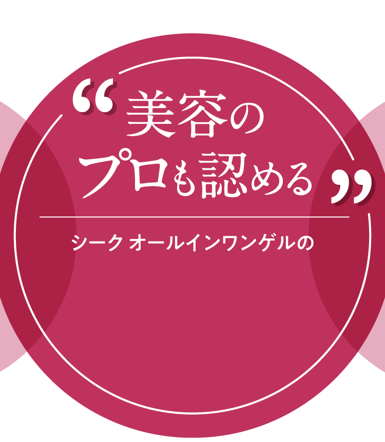 “美容のプロも認める”シーク オールインワンゲルの