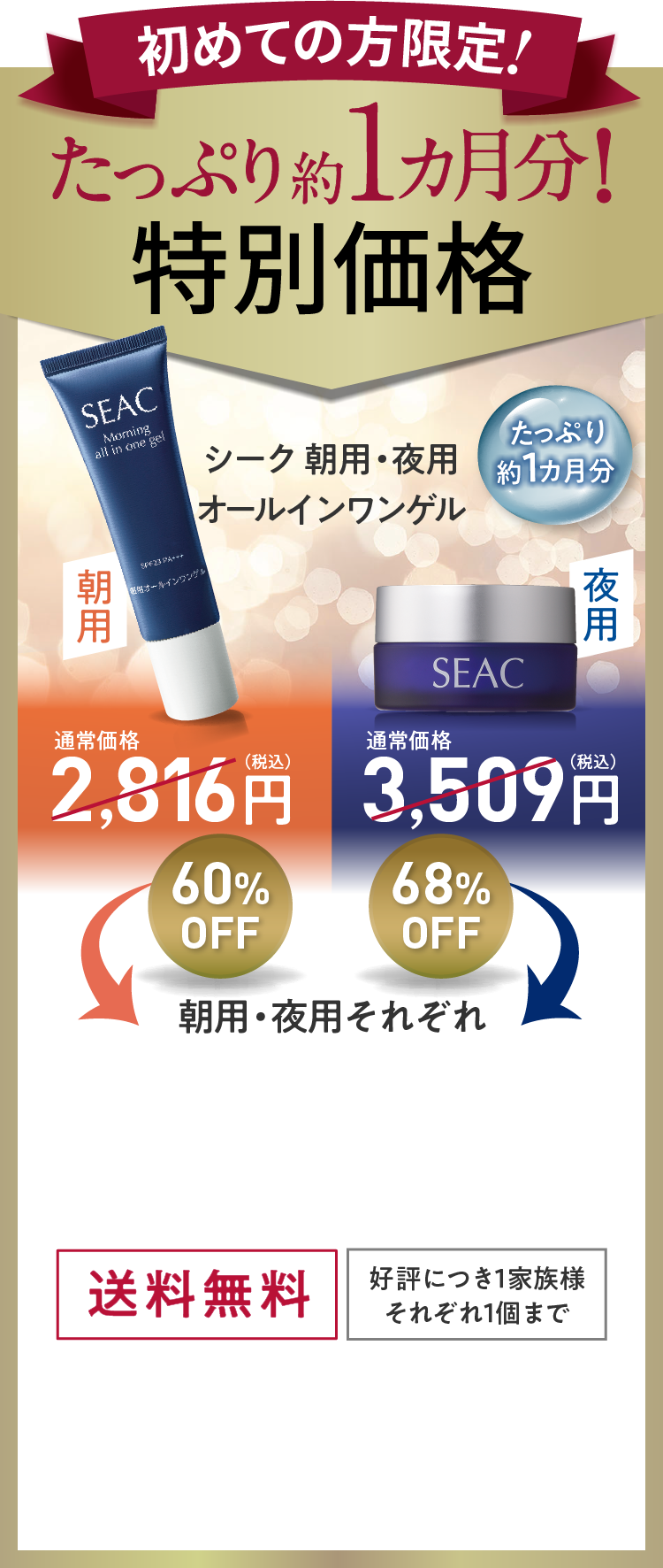 初めての方限定! たっぷり約１カ月分! 特別価格 シーク 朝用・夜用オールインワンゲル ・朝用 通常価格2,816円（税込）→60%OFF ・夜用 通常価格3,509円（税込）→68%OFF 朝用・夜用それぞれ【送料無料】【好評につき１家族様それぞれ１個まで】