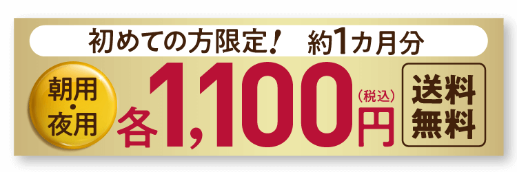 初めての方限定!約１カ月分 朝用・夜用 各1,100円（税込) 送料無料